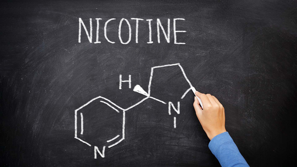 Where Does Nicotine Come From?